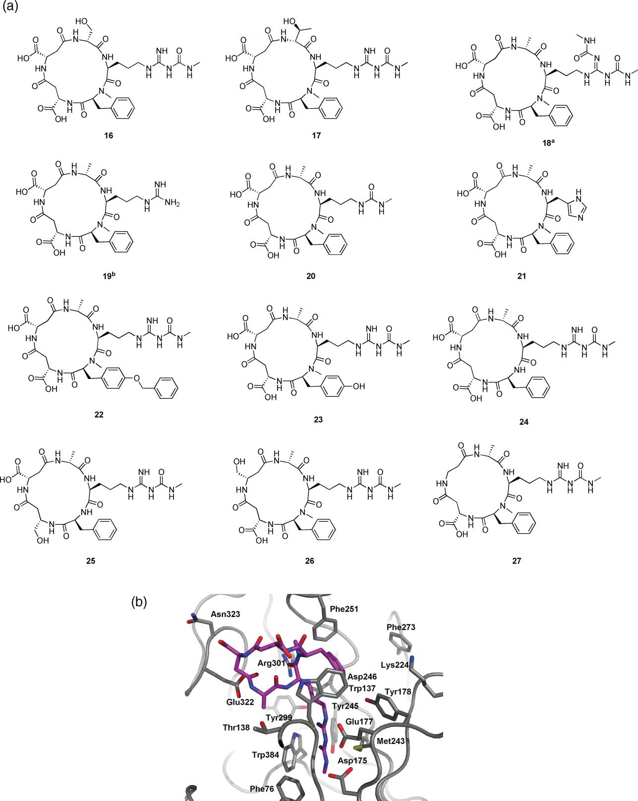 (a) Compounds investigated in this study. Byproducts in the synthesis of 3. Intermediates in the synthesis of 3. (b) X-ray structure of arginine 3 in complex with Af ChiB1, showing the key residues for SAR formation (model extracted from previously published complex 22a, PDB entry 1W9V).