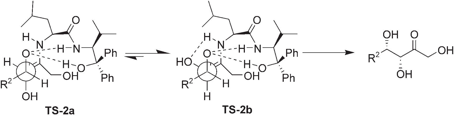 Proposed transition states for the syn-aldol reaction of dihydroxyacetone with aldehydes.