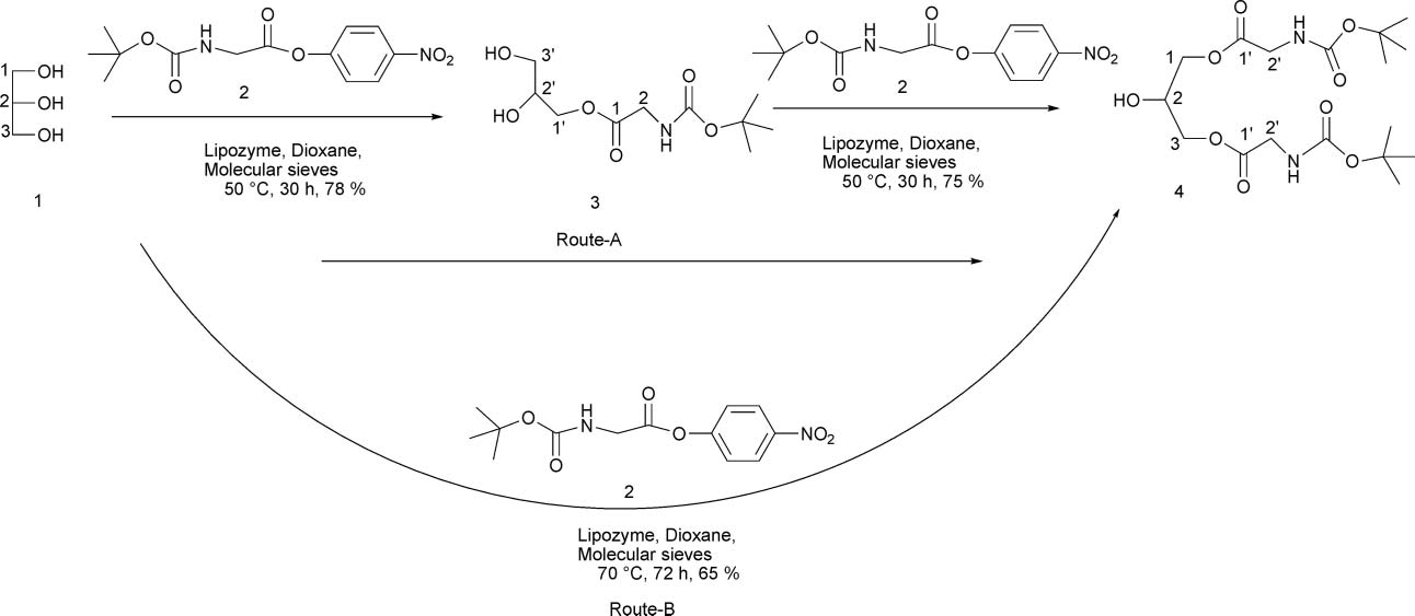 Lipozyme-catalyzed transesterification of glycerol.