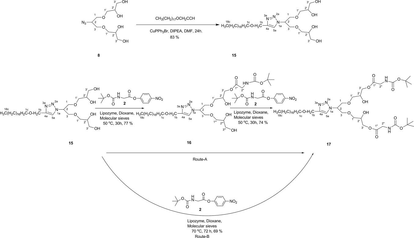 Lipozyme catalyzed transesterification of G1 generation click dendron 15.