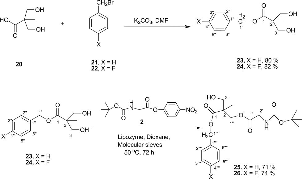 Lipozyme-catalyzed transesterification of 23 and 24.