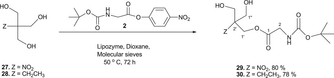 Lipozyme-catalyzed transesterification of 27 and 28.
