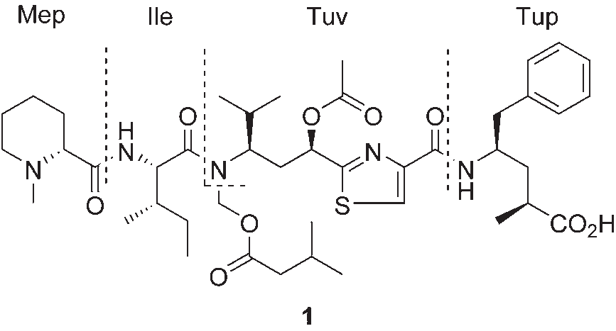 Tubulysin D (1). 
