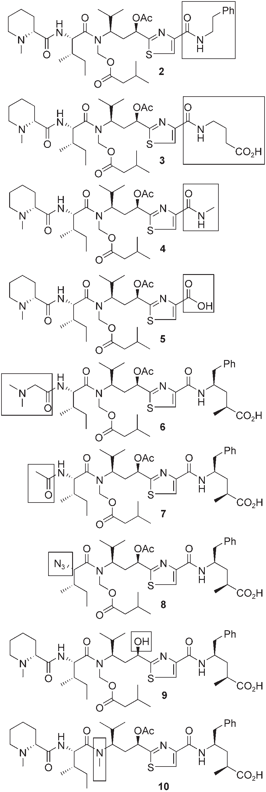 Tubulysin analogues 2–10.