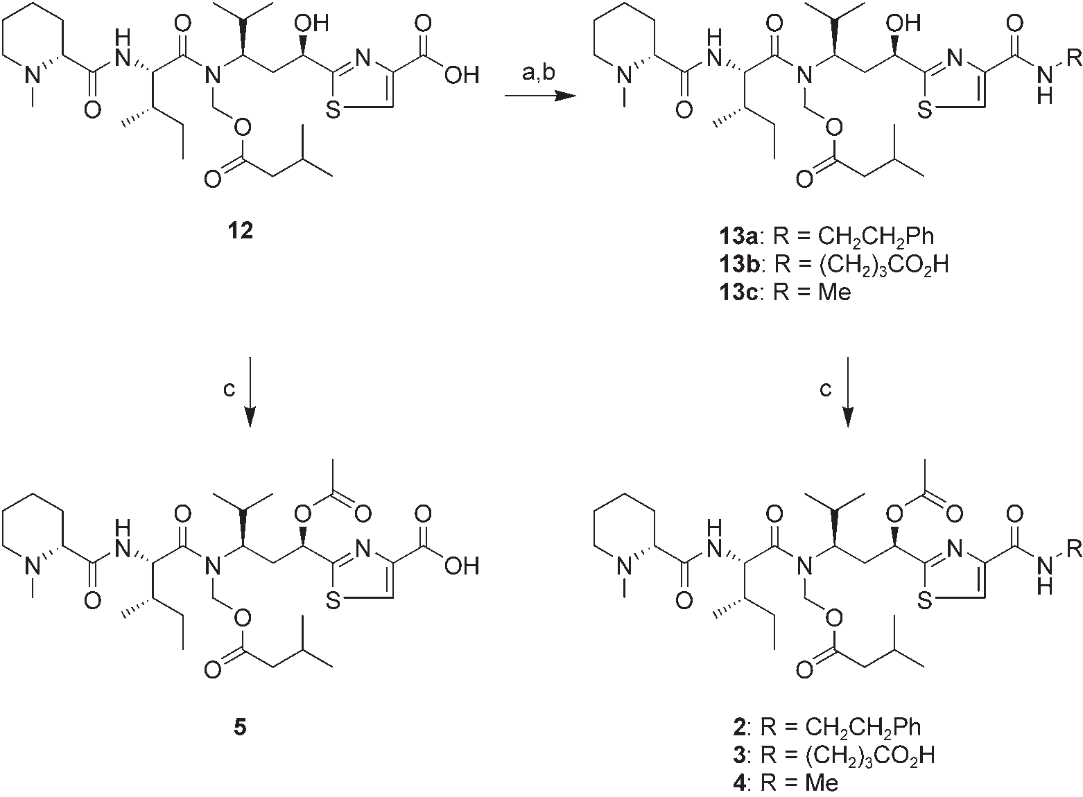 Preparation of 2–5. a) pentafluorophenol, 1,3-diisopropylcarbodiimide, CH2Cl2; b) 2-phenylethylamine, 4-aminobutyric acid, or methylamine hydrochloride, iPr2EtN, DMF, 49% (13a), 70% (13b), or 68%  (13c) yield for two steps; c) Ac2O, pyridine, then (for 4 and 6) H2O/dioxane, 99% (3), 81% (4), 90% (5), or  97% (6). 
