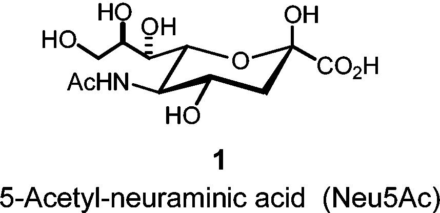 The most common sialic acid found in Nature: N-acetylneuraminic acid. 
