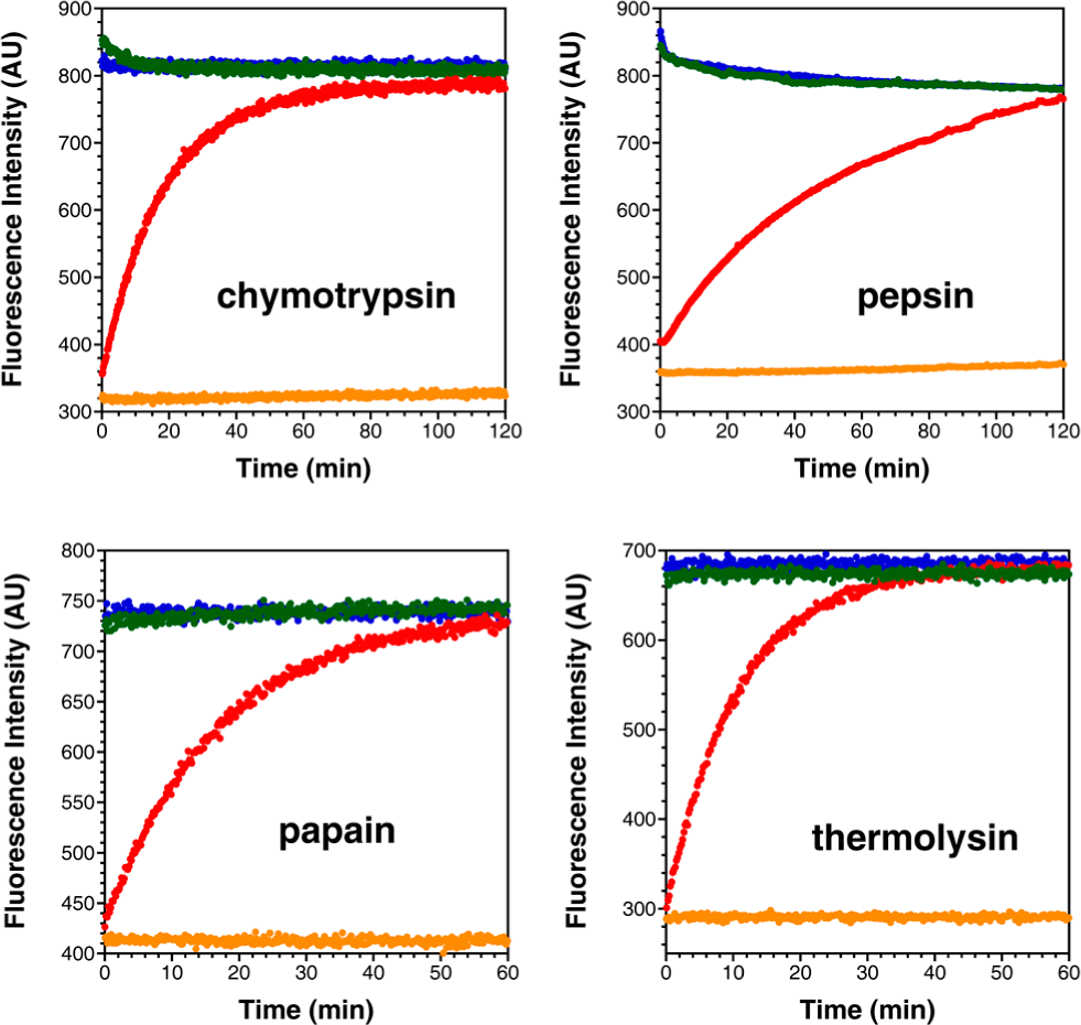 Protease substrate trials. Representative results for chymotrypsin, pepsin, papain, and thermolysin experiments.