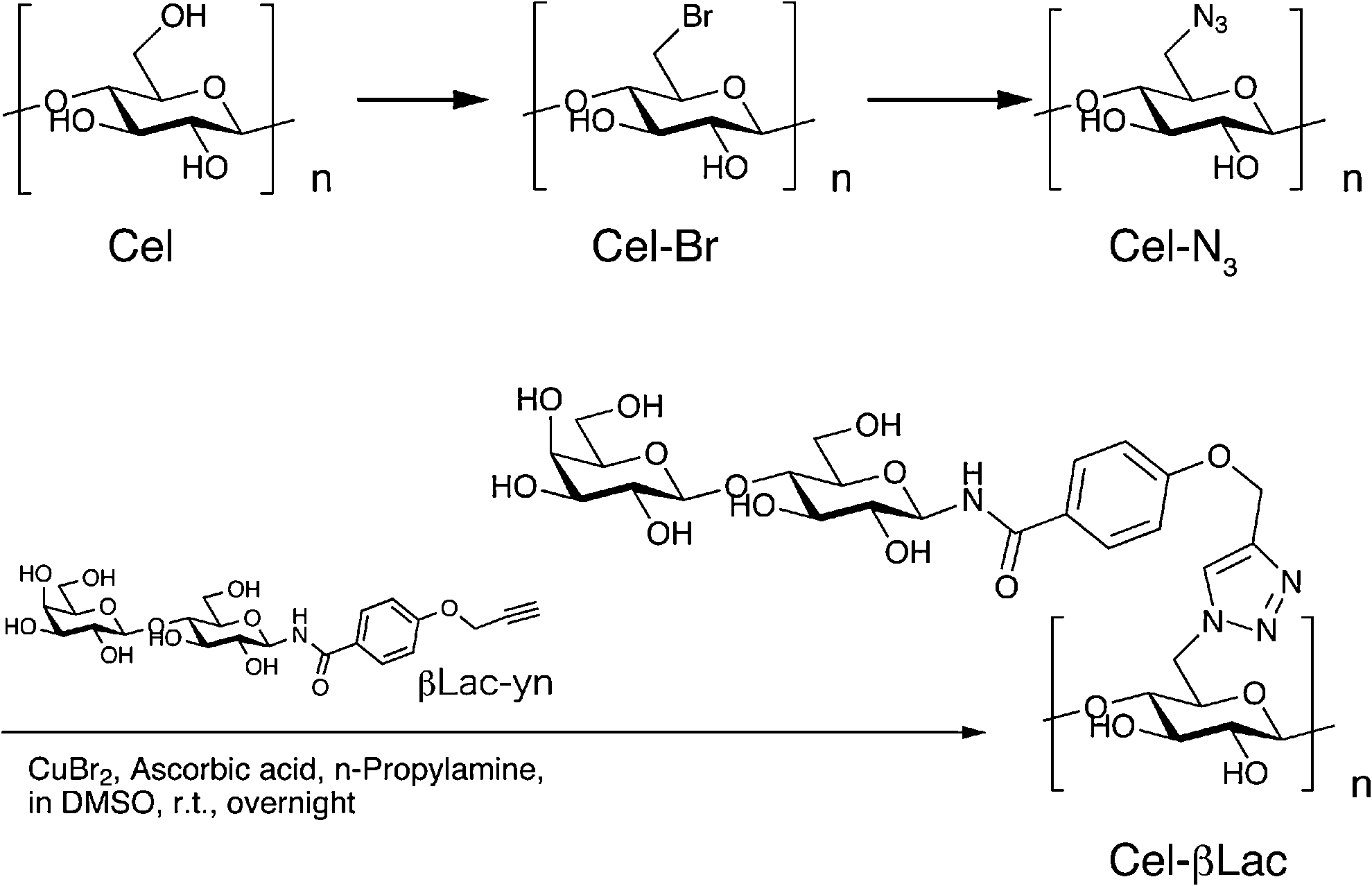 Selective bromination/azidation of 6C-cellulose afforded Cel-N3, and β-lactose side modules were subsequently introduced onto the cellulose scaffold via click chemistry.