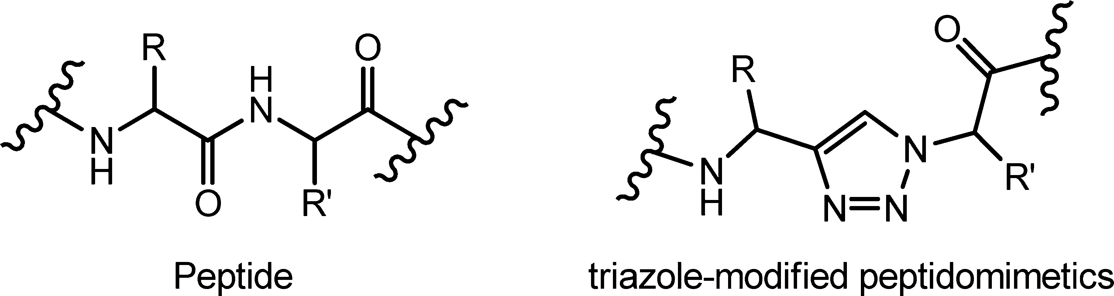 General structures of (a) a peptide and (b) a 1H-1,2,3-triazole-modified peptidomimetics.