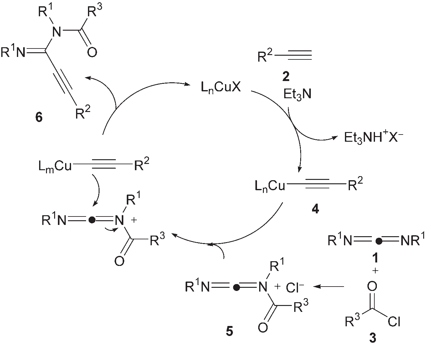 Carbodiimide 1 reacts with acyl chloride 3 to generate N-acylimide salt 5. Alkyne 2 is immediately converted to acetylide copper 4 in the presence of triethylamine, and 1 equivalent of triethylamine acid salt is released. Subsequently, 4 undergoes nucleophilic attack on 5 to obtain the target product 6, and the copper catalyst is released, completing the catalytic cycle.