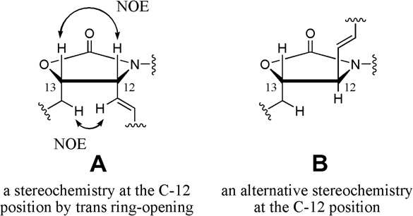 Possible configuration at the C-12 and C-13 positions in cyclic carbamates.