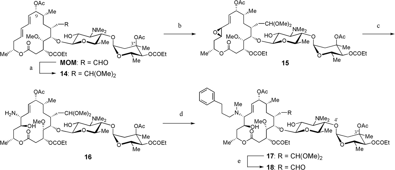 Synthesis of 12-(3-phenylpropyl)amino analogue of MOM (Miokamycin).