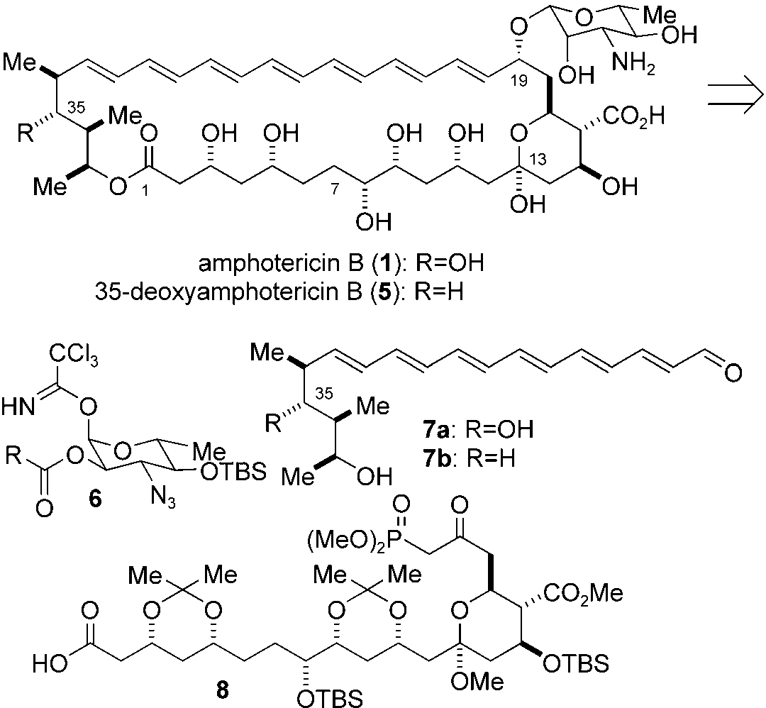 Retrosynthetic analysis of amphotericin B (1).