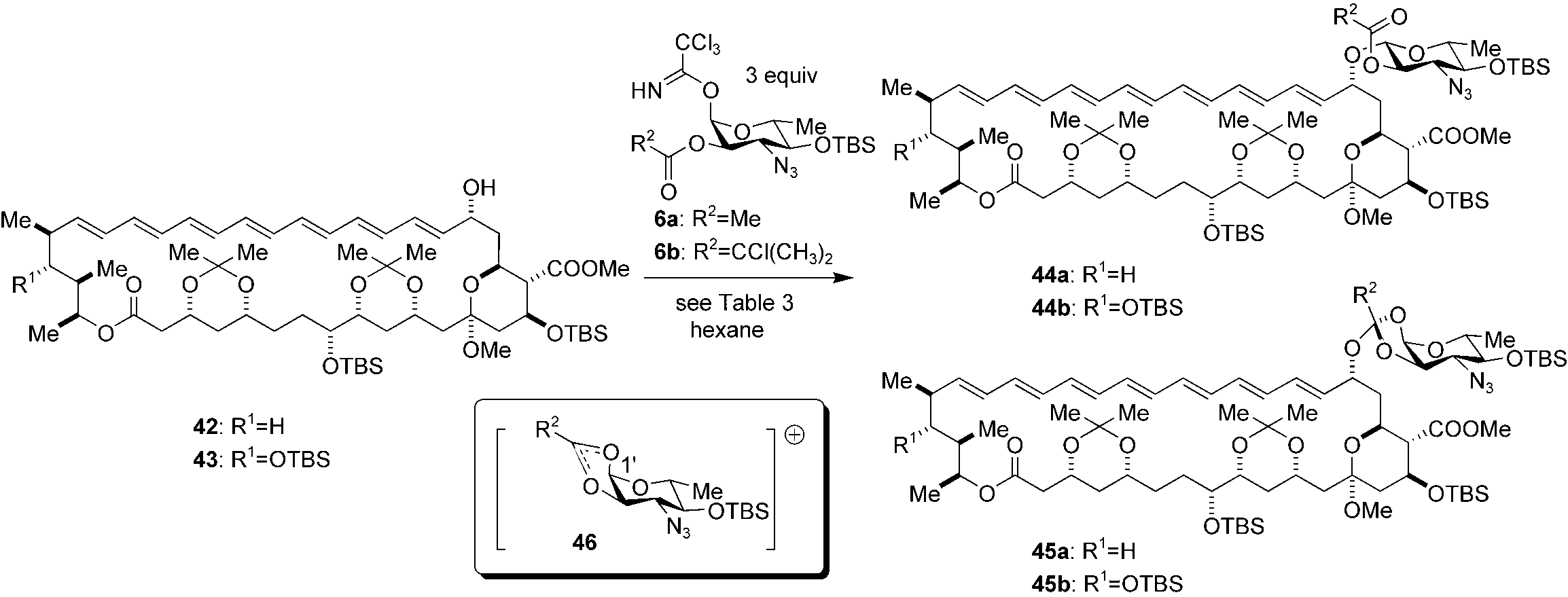 Glycosidation of amphoteronolide 43 and 35-deoxy amphoteronolide 42 with trichloroacetimidates 6 (see Table 3).