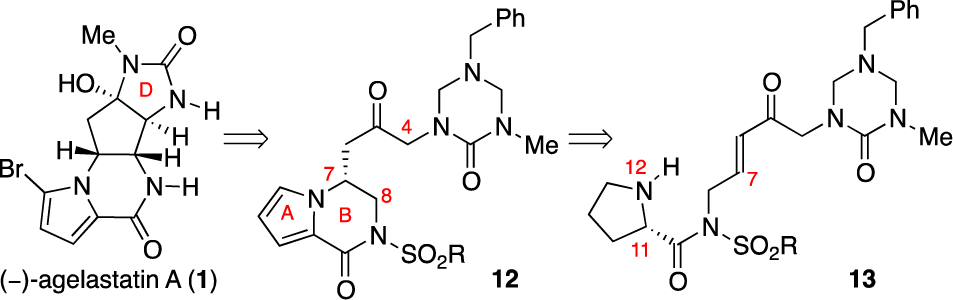Early Approach toward (−)-Agelastatin A (1)