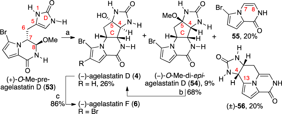 Total Synthesis of (−)-Agelastatin D (4) and the Formation of Byproducts 55 and 56
