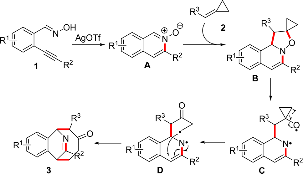Possible Mechanism for the Silver Triflate-Catalyzed Tandem Reaction of 2-Alkynylbenzaldoxime 1 with Alkylide-necyclopropane 2 