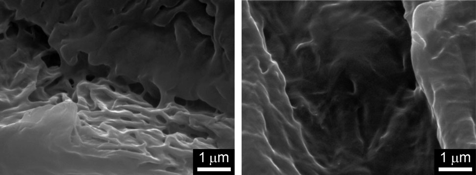 Scanning electron micrographs (SEM): a) dried gel of 1a from hexane; b) dried gel of 2b from hexane. 