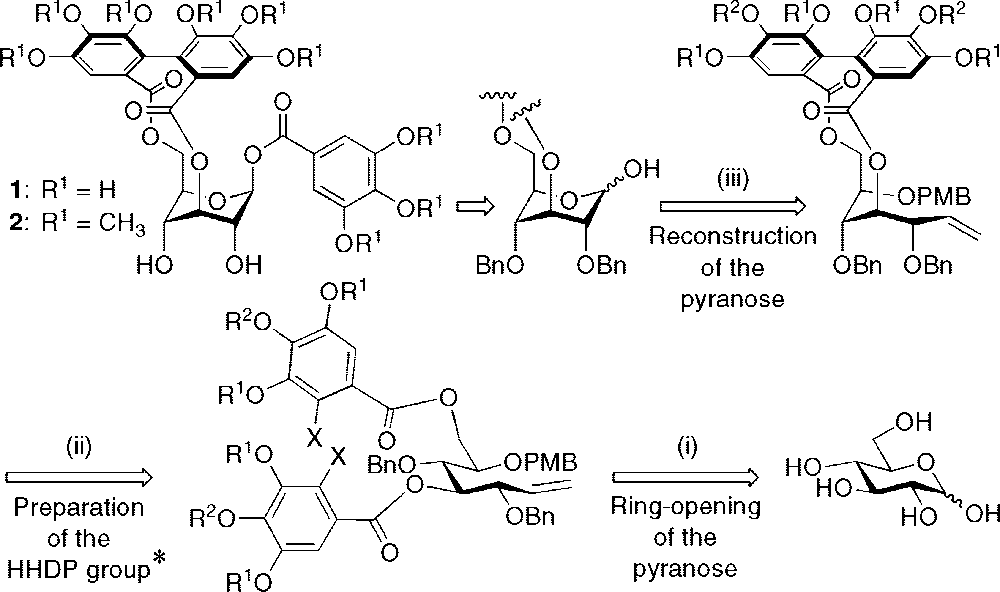 Retrosynthetic Approach to Corilagin (1)