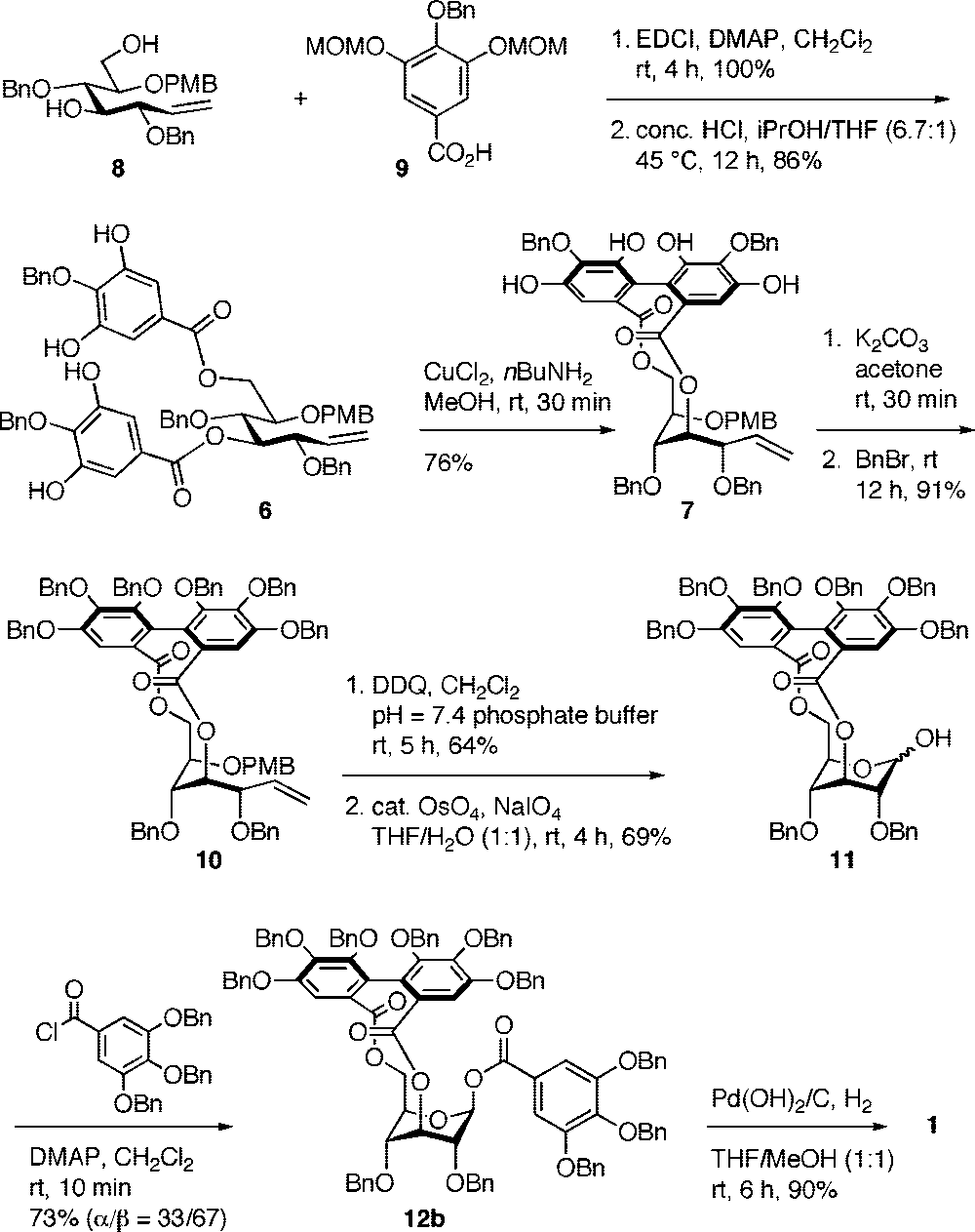 Synthesis of Corilagin (1)