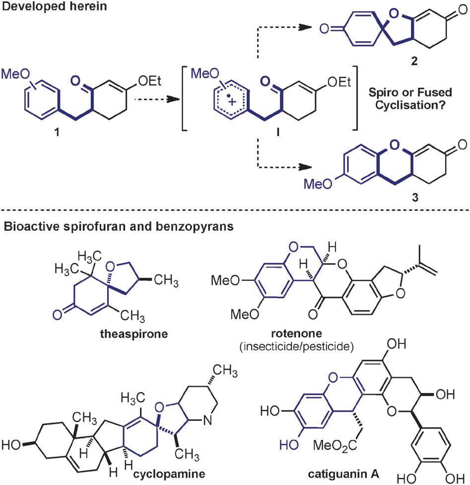 Proposed studies and spirofuran and benzopyran heterocycles.