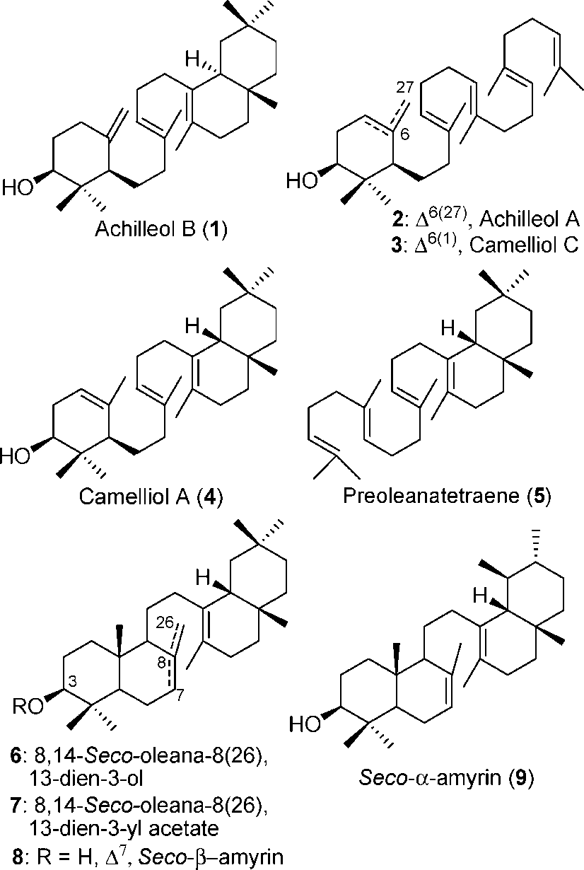 Irregular triterpenes.