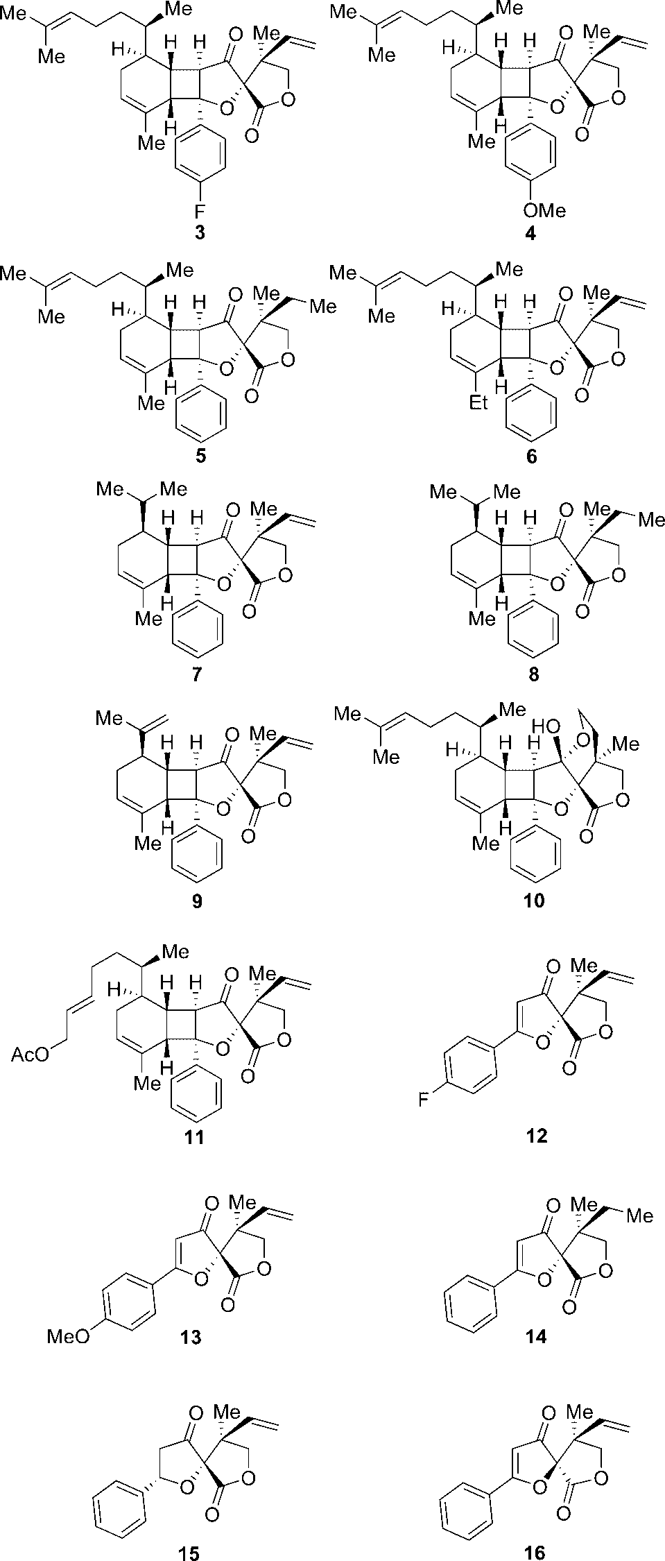 Synthesized biyouyanagin A (3-11) and hyperolactone C (12-16) analogues.