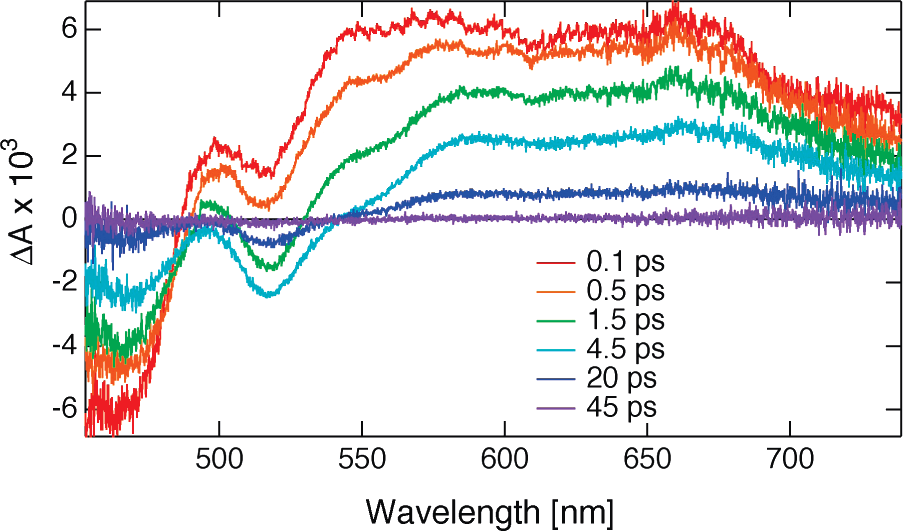 TA spectra recorded with 5 in cyclohexane at different time delays after excitation.