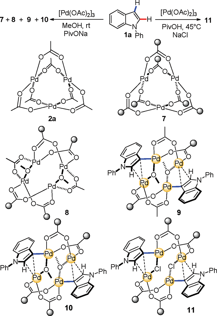 Regioselective Electrophilic Palladation at the C3 Position of N-Phenylindole