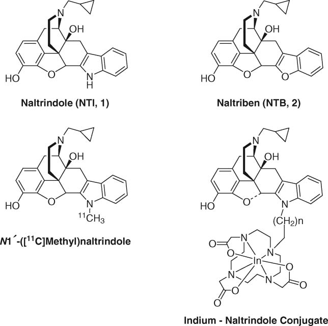 Naltrindole, naltriben and selected analogs.