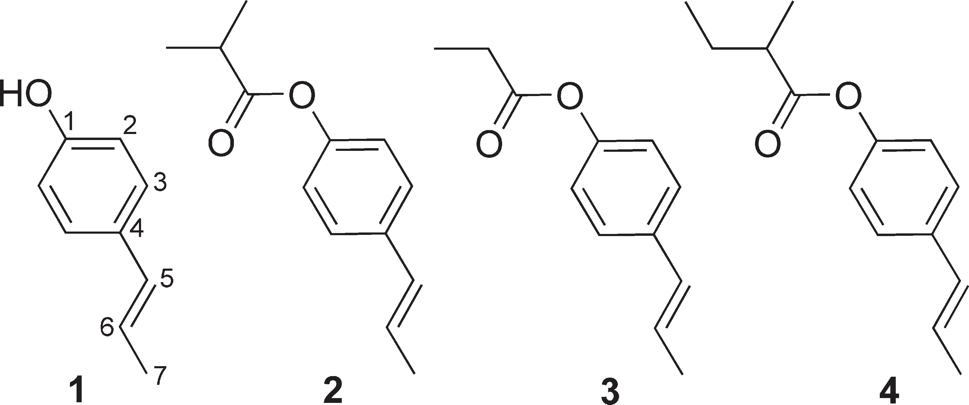 Structures of isochavicol (1) and of constituents 2-4 of D. crinitus essential oil. 
