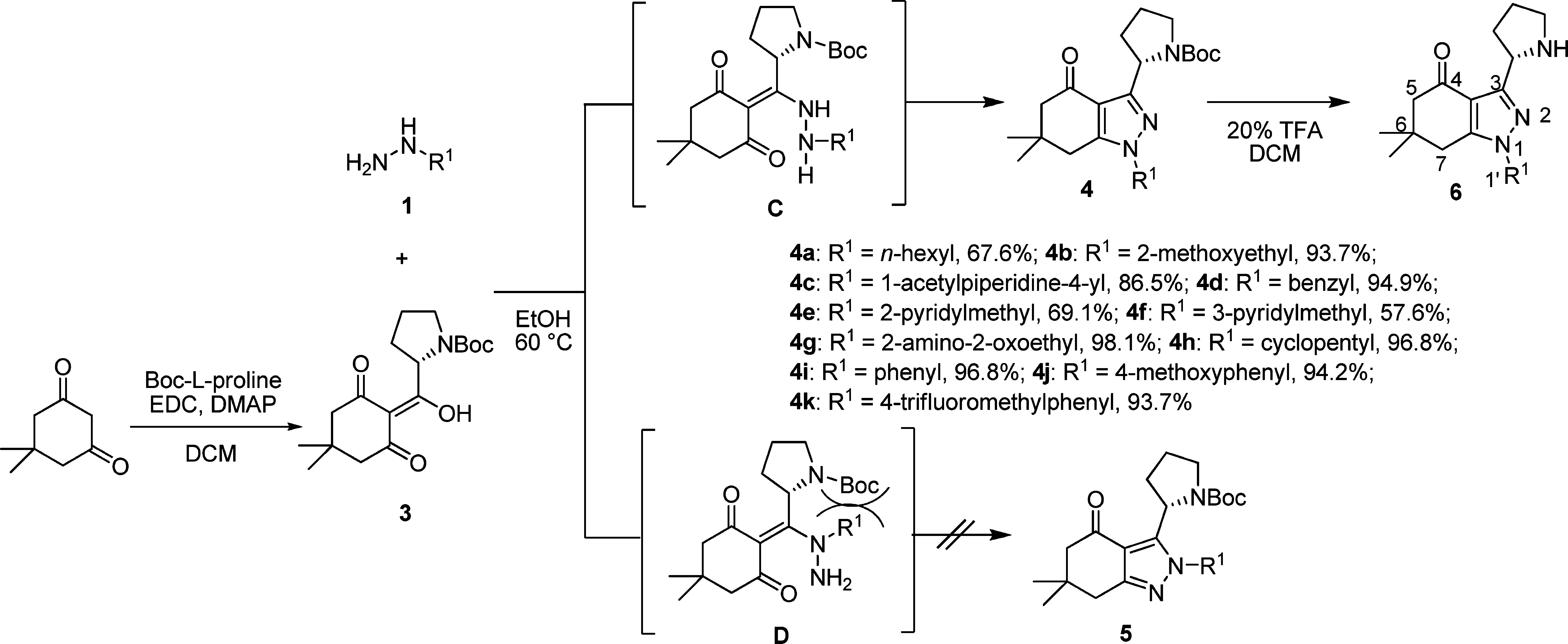 Regioselective Synthetic Pathway for 1,3-Disubstituted Tetrahydroindazolones Using Hydrazines 1 and 2-(Hydroxy(N-Boc-pyrrolidin-2-yl)methylene)-5,5-dimethylcyclohexane-1,3-dione 3