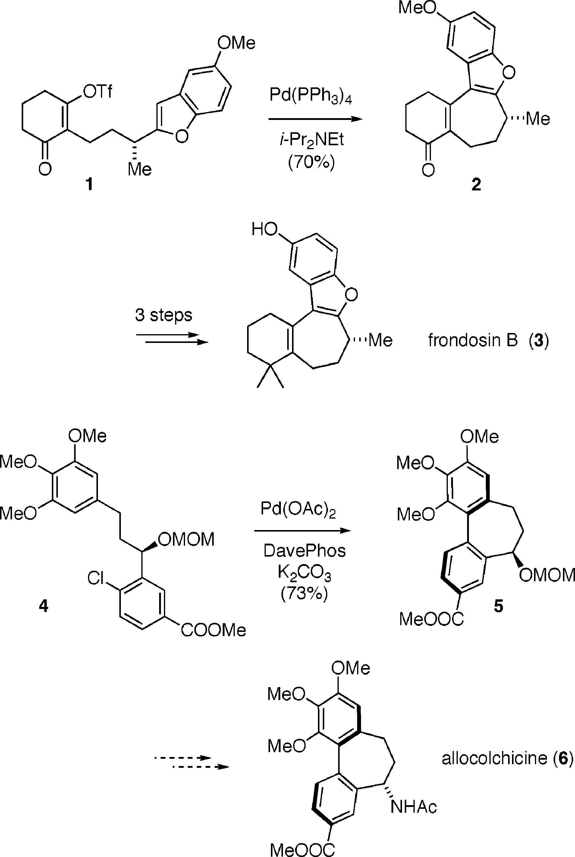 Direct Couplings in Total Synthesis