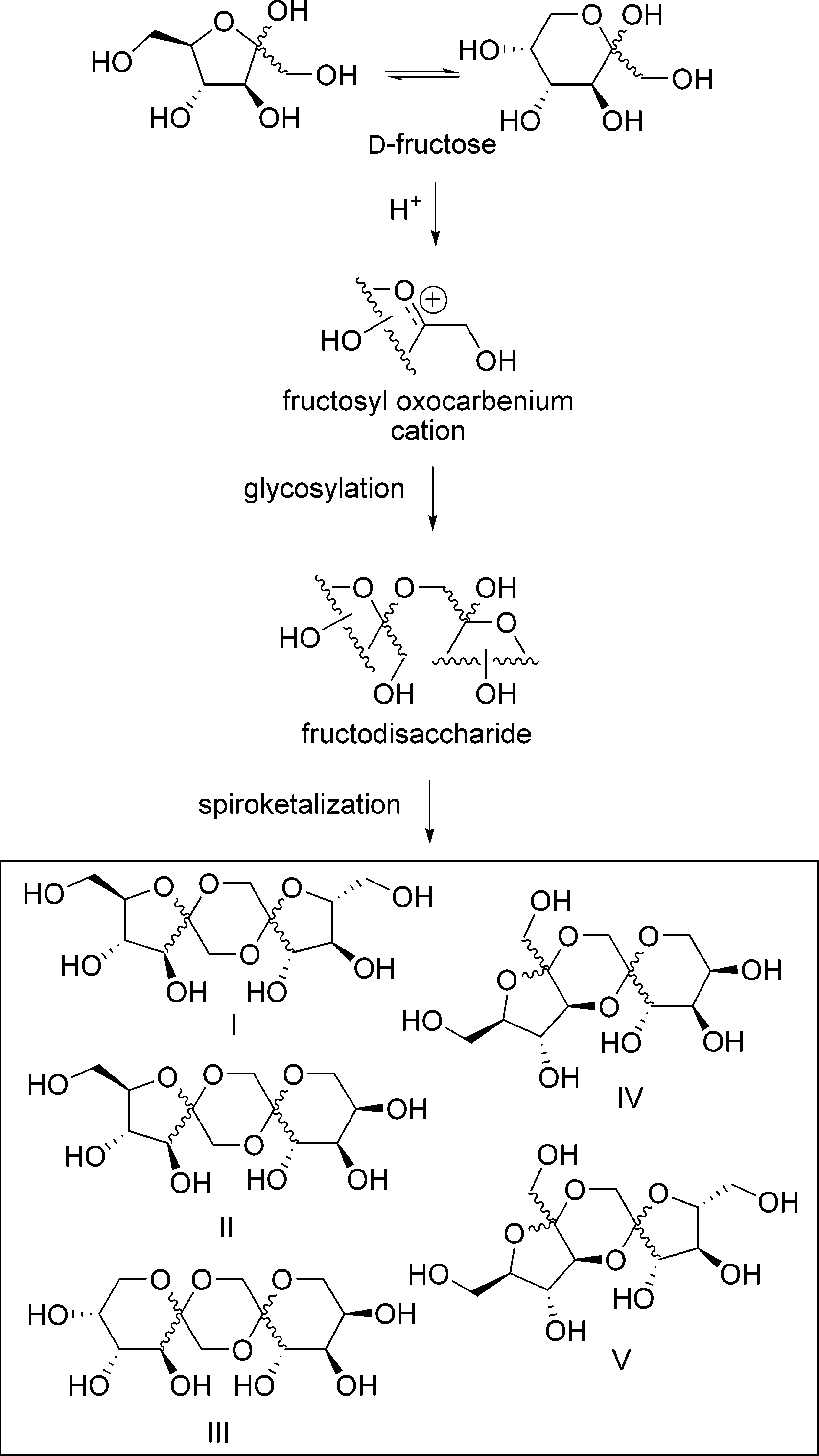 Spiroacetal Disaccharide Cores (Types I-V) Formed by Acid Treatment of D-Fructose