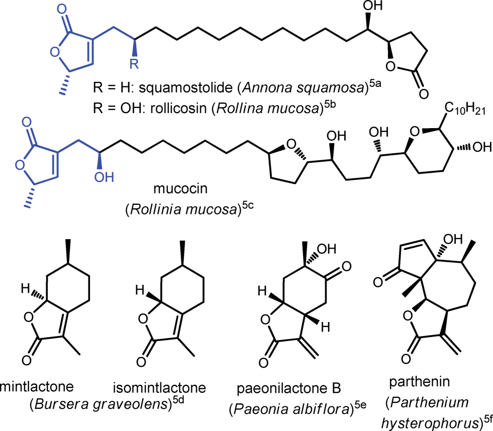 Naturally occurring bioactive butenolides and fused butenolides.