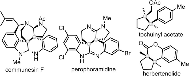 Natural products bearing both stereoisomers of contiguous quaternary all-carbon centers: Communesin F, Perophoramidine, Tochuinyl acetate, Herbertenolide.