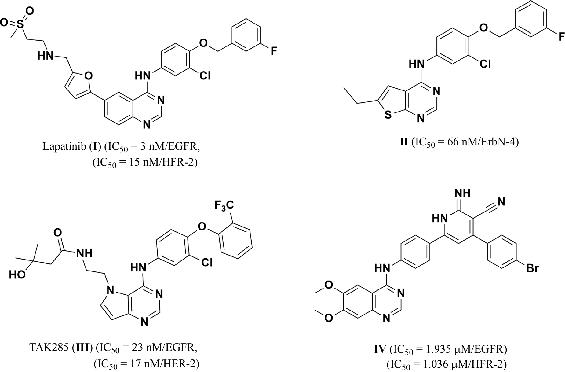 Structures of some approved and reported ErbB family inhibitors: Lapatinib, TAK-285