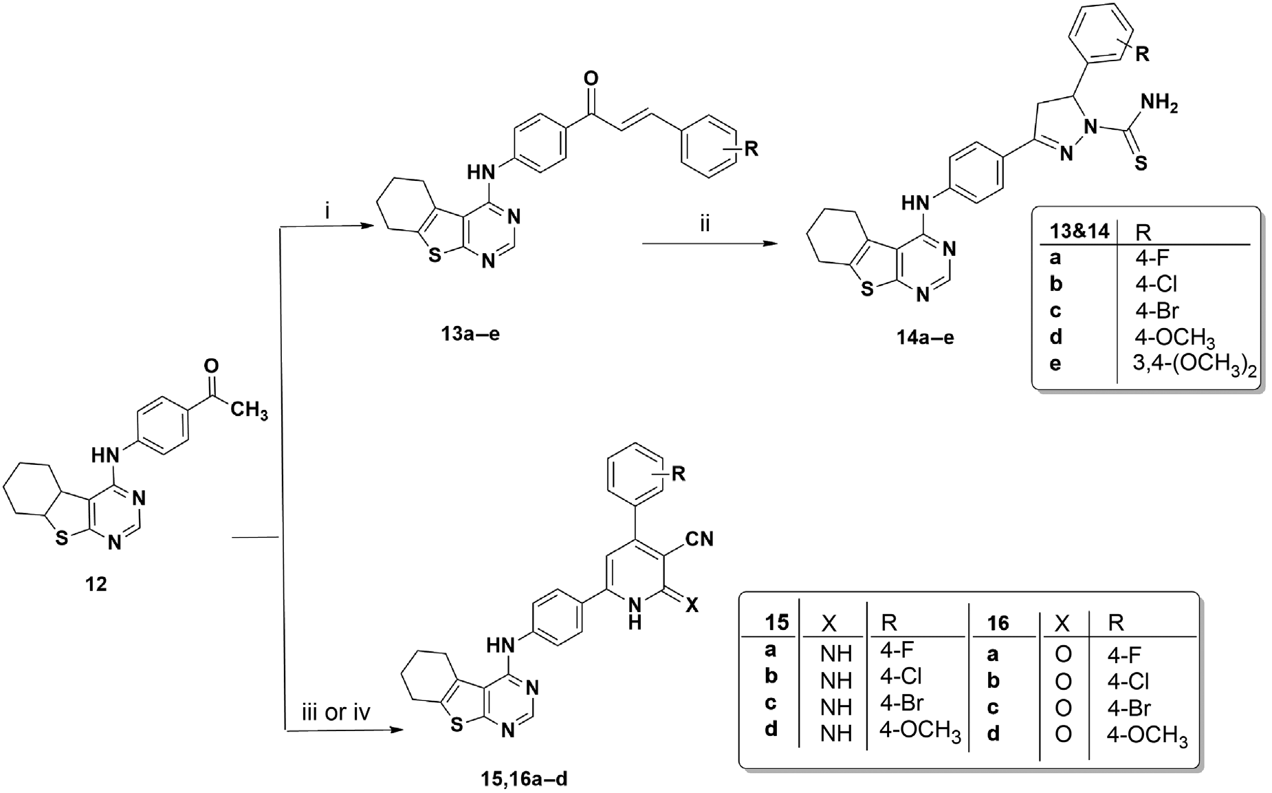 Synthesis of chalcones and pyrazoline derivatives (13a–e) in 50–70% yield, (14a–e) in 57–82% yield, 2-iminopyridine derivatives (15a–d) in 64–78% yield, and 2-oxopyridine derivatives (16a–d) in 62–71% yield.
