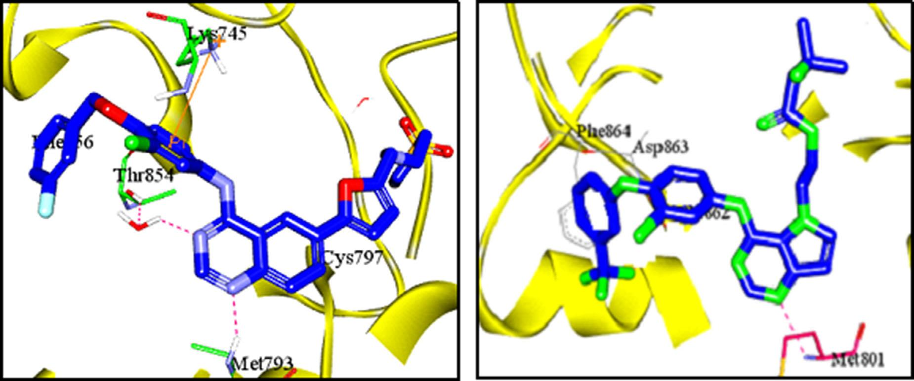 Left: Docking of lapatinib (I) in EGFR binding site (PDB code: 1XKK) showing H bonds with met793 and π interaction with Lys 745. Right: Docking of (TAK285) (III) in HER-2 binding site (PDB code: 3RCD) showing H bond with met801.