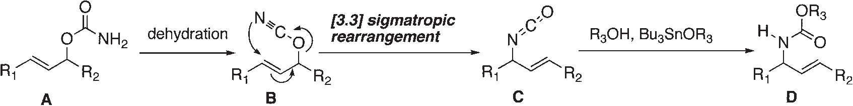 Synthesis of Allyl Carbamate by [3.3] Sigmatropic Rearrangement.