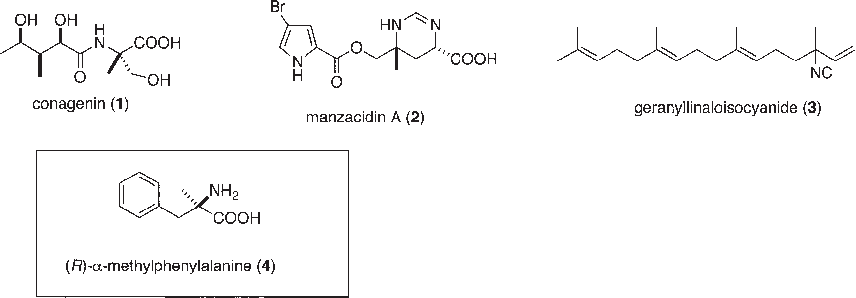 Representative Natural Products and α-Alkyl Amino Acid Containing Quaternary Stereocenter with Nitrogen Substituent: Conagenin, manzacidin A, geranyllinaloisocyanide, alpha-methyl-D-phenylalanine