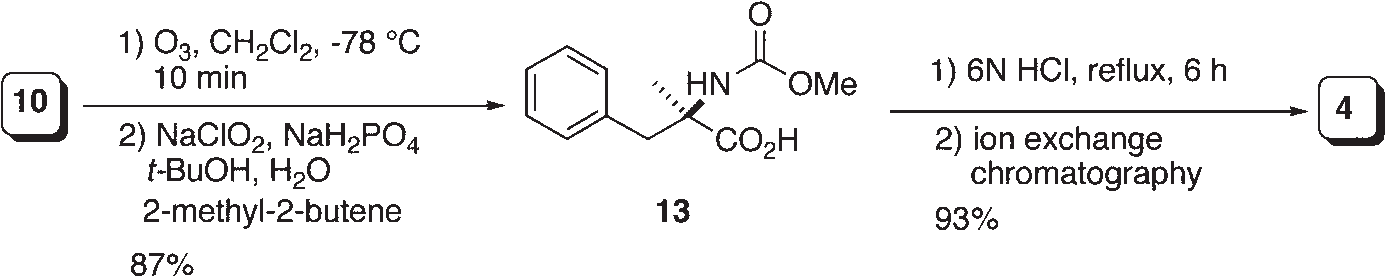 Synthesis of (R)-α-methylphenylalanine.