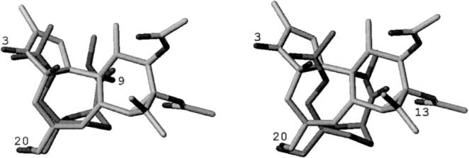 Superimposition of IV-cis on three pharmacophores of phorbol 12,13-diacetate (matched with C3, C20, C9 (left) or C3, C20, C13  (right)). 