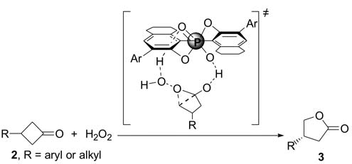 BINOL-derived chiral phosphoric acid-catalyzed enantioselective B-V reaction of 3-substituted cyclobutanones