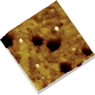 STm image of ligands 18 embedded in an n-octanethiolate matrix on Au(111) (33 nm × 33 nm, 1.2 V, 18 pA). The ligands appear as protrusions, and the height difference between the n-octanethiolates and the ligand 18 amounts to about 1.5-2.5 Å. 