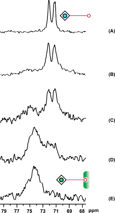 Biotin-avidin binding was detected using Xe NMR.