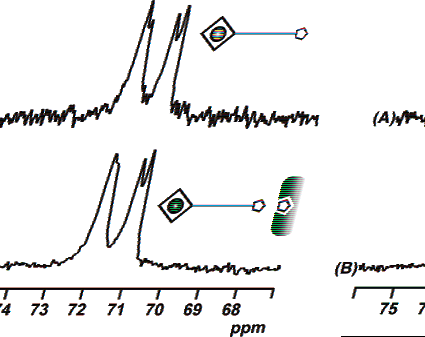 Inhibitory effect of xenon biosensor binding to avidin.