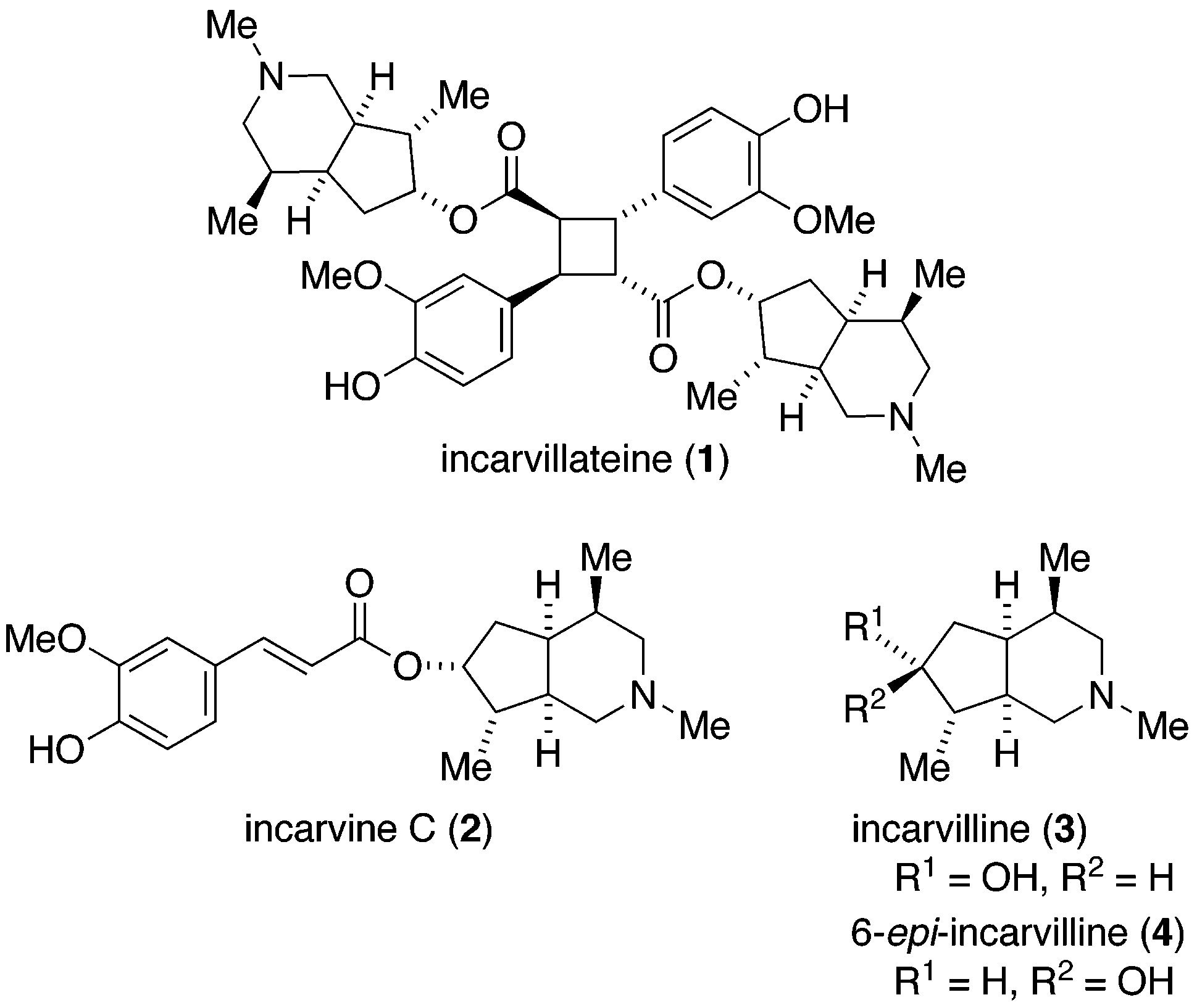 Structures of incarvillateine and related alkaloids.