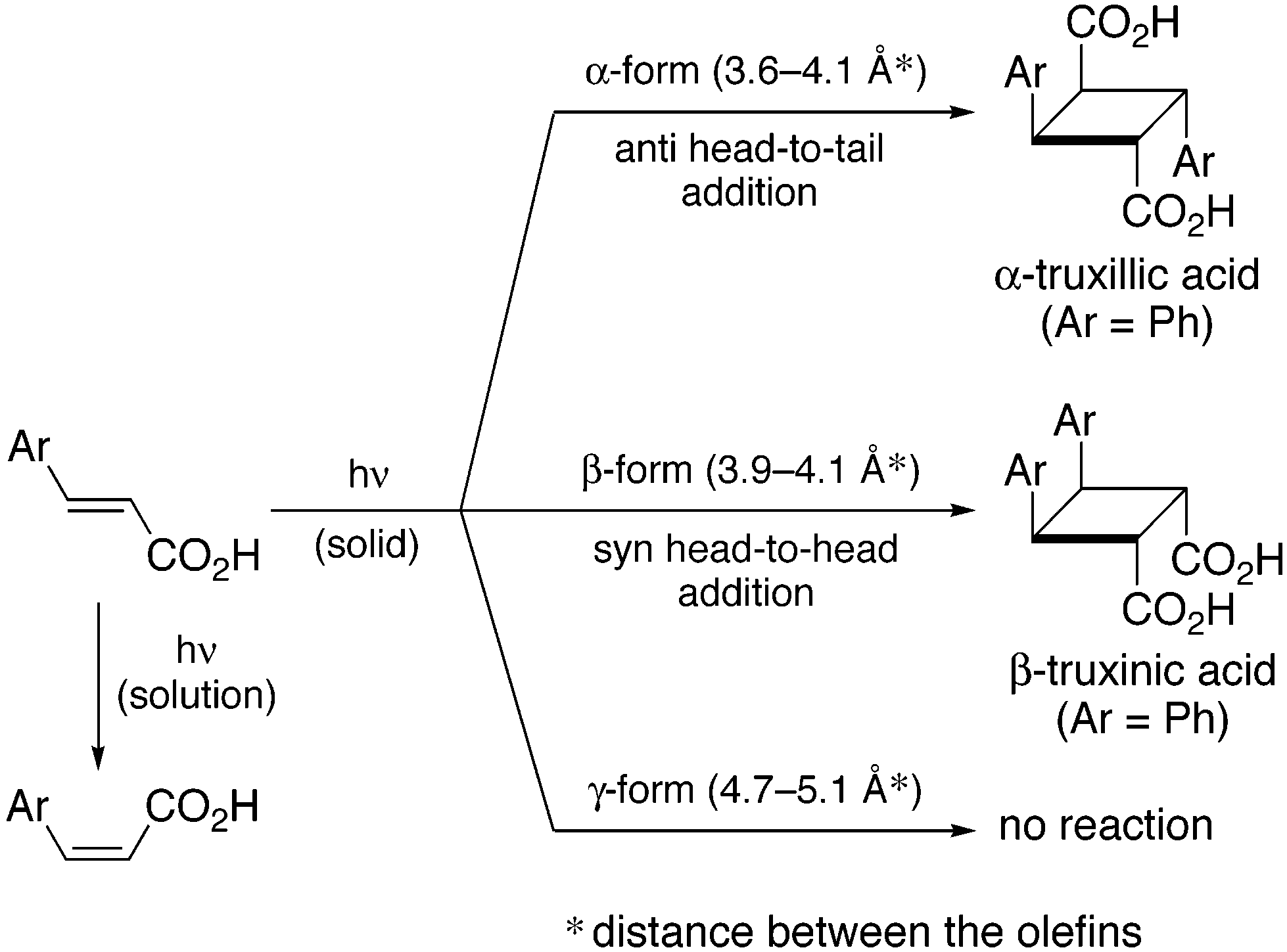 Topochemical [2 + 2] photodimerization of cinnamic acids.