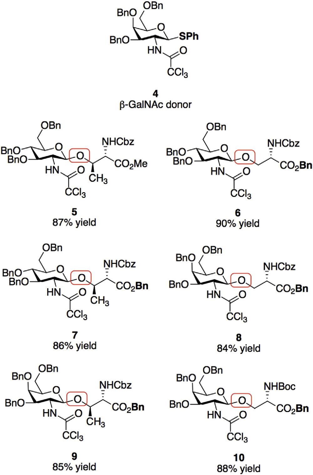 O-Glycosylation of serine hydroxyls.